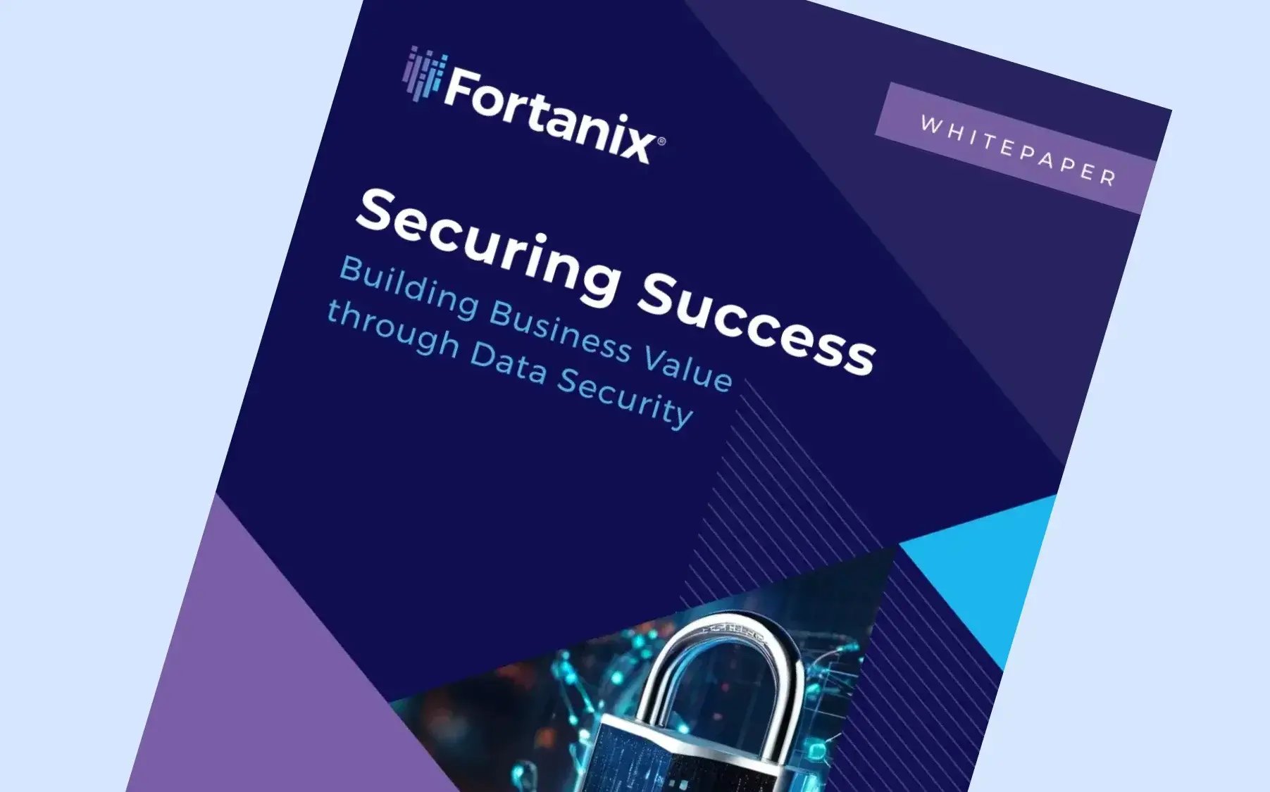 Building Business Value through Data Security
