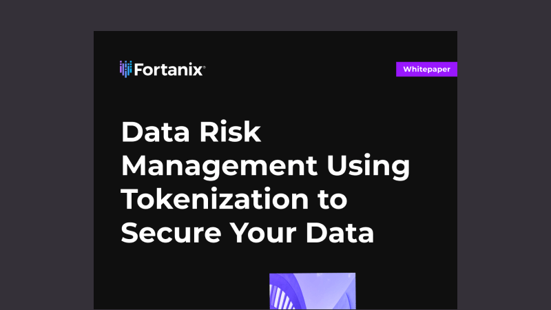 Data Risk Management Using Tokenization to Secure Your Data_thumb