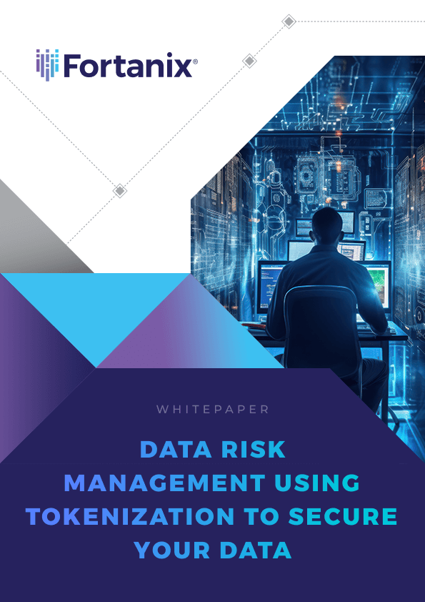 Data Risk Management – Using Tokenization to Secure Your Data_cover image