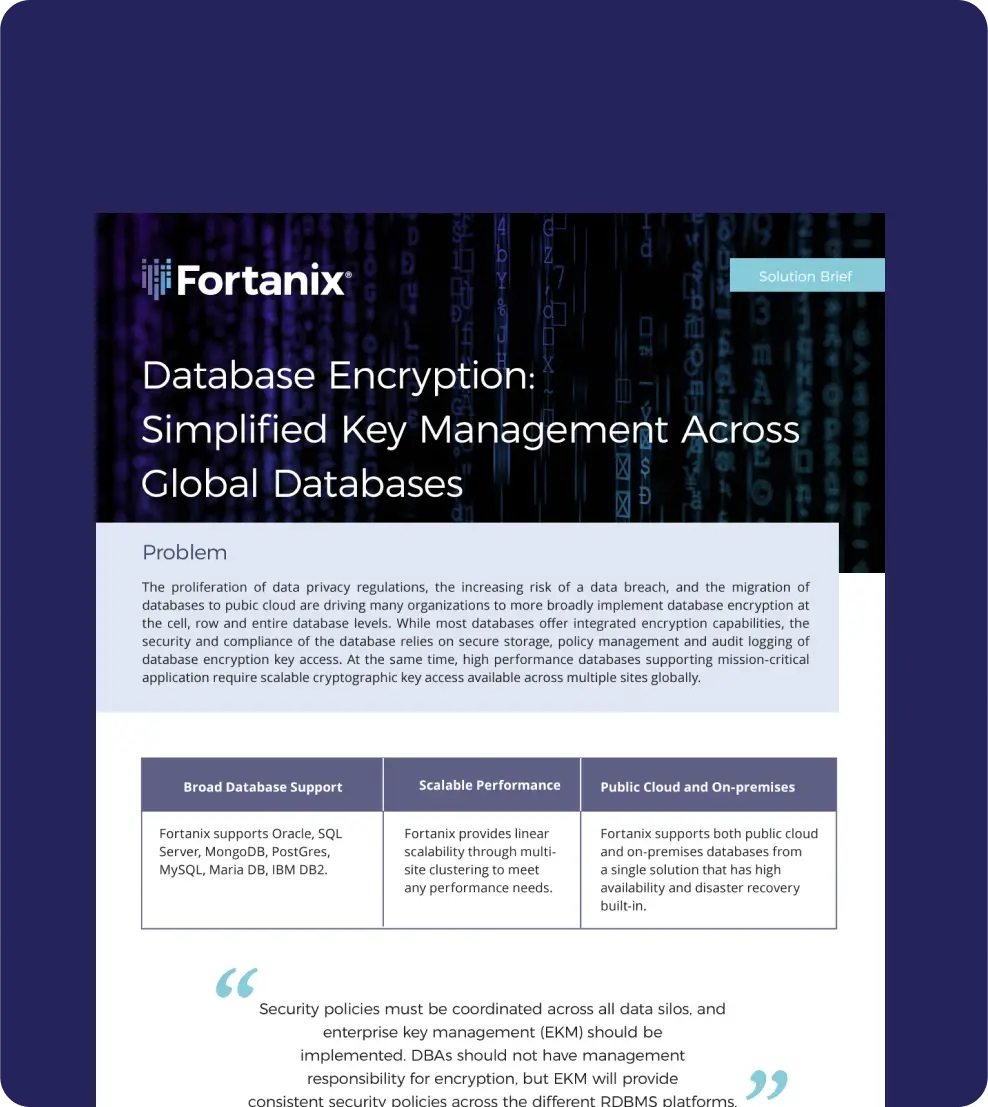 database-encryption-solution-brief