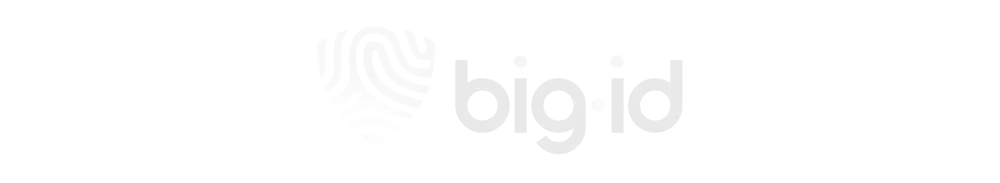 big-id-logo