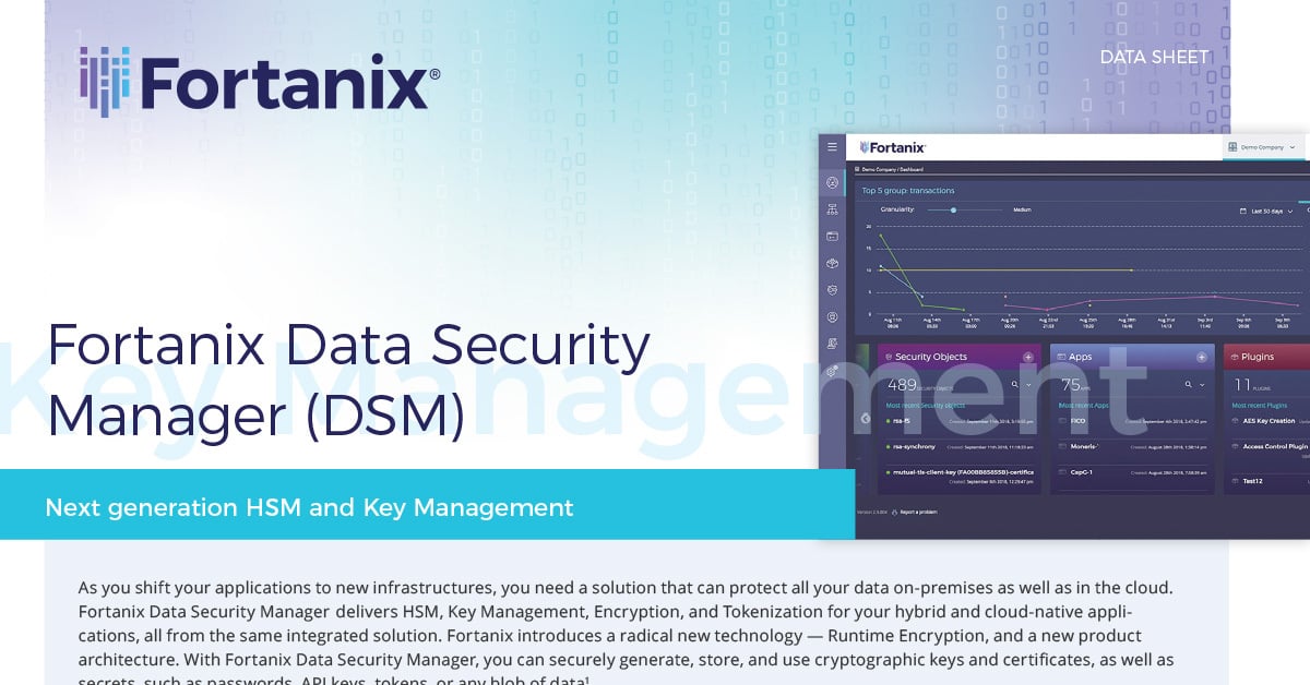 dsm-datasheet-1