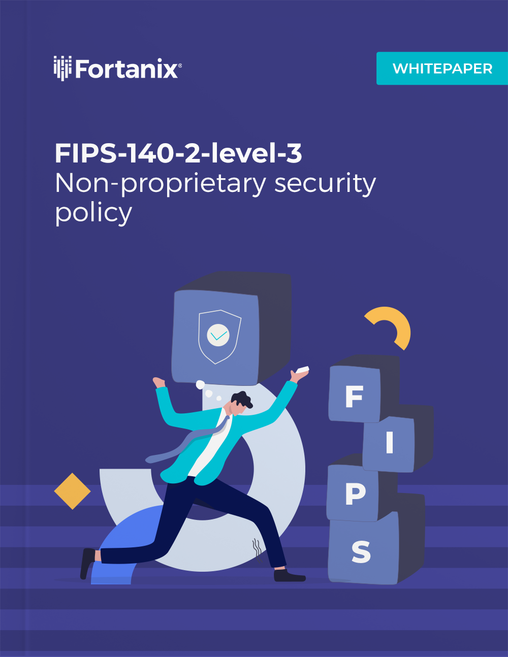 fips_whitepaper