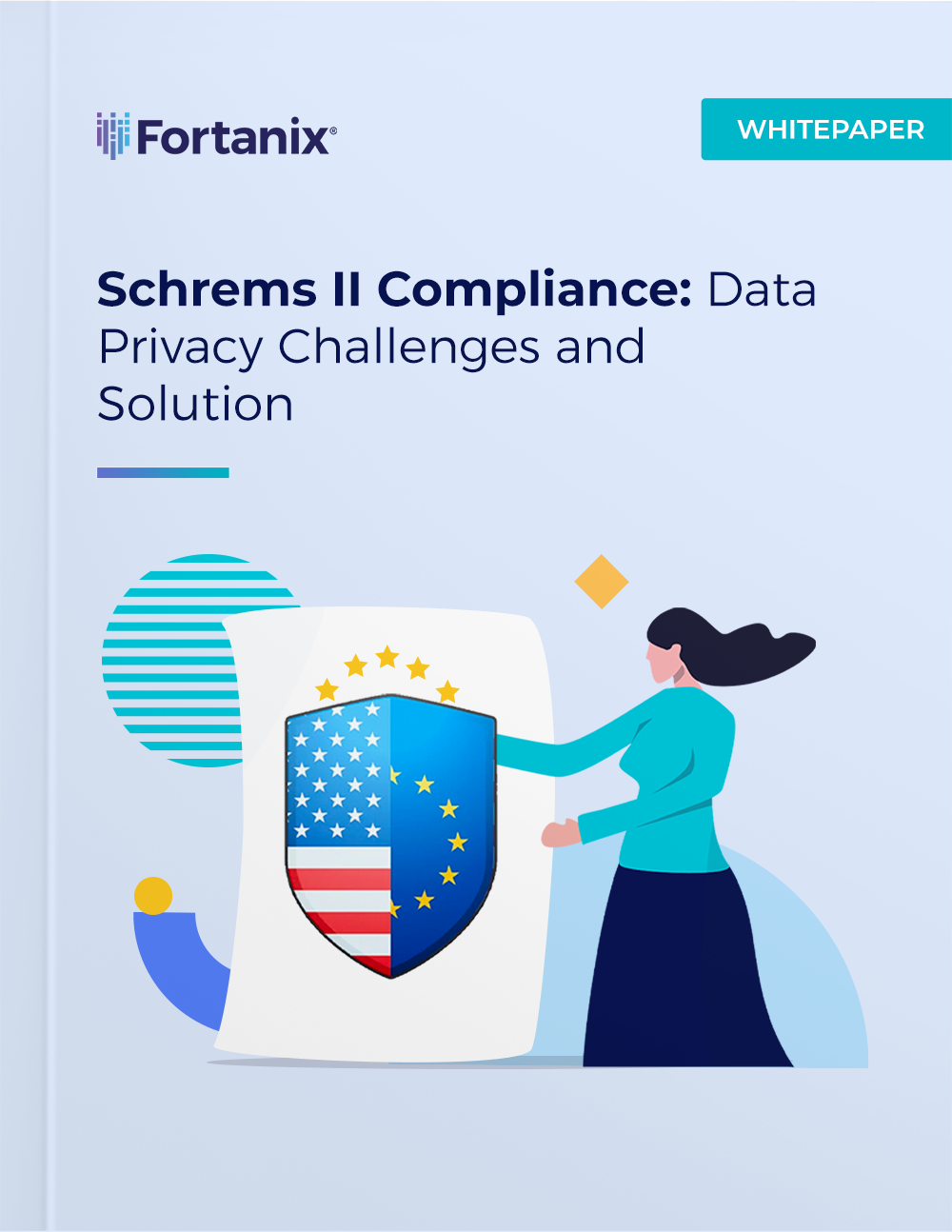 schrems ii_whitepaper